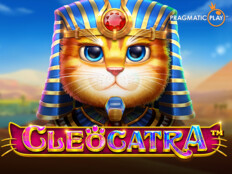 New online casino bonus. Scottish fold yetişkin.81